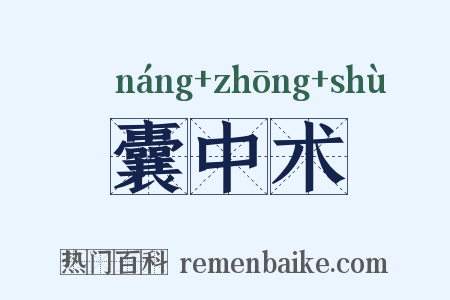 囊中术是什么意思的图片